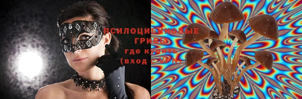 apvp Абаза