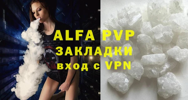 крисы Сатка